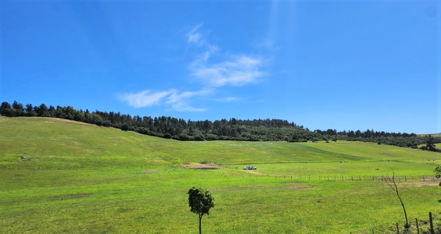 0 Bedroom Property for Sale in Agricultural Holding 318 Western Cape